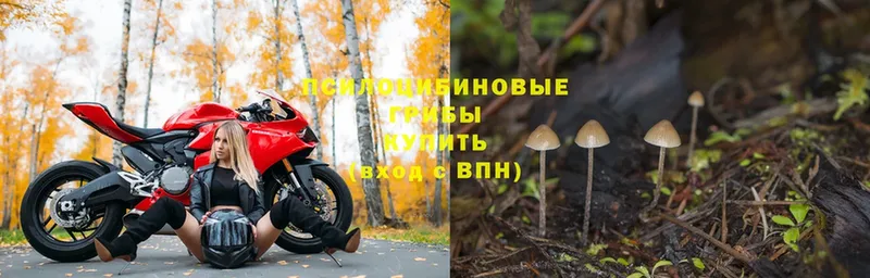 площадка официальный сайт  Печора  Галлюциногенные грибы MAGIC MUSHROOMS 